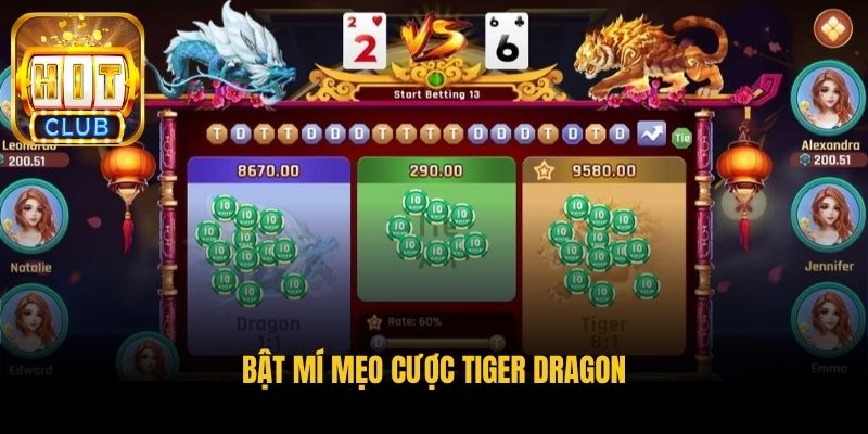 bat mi meo cuoc tiger dragon