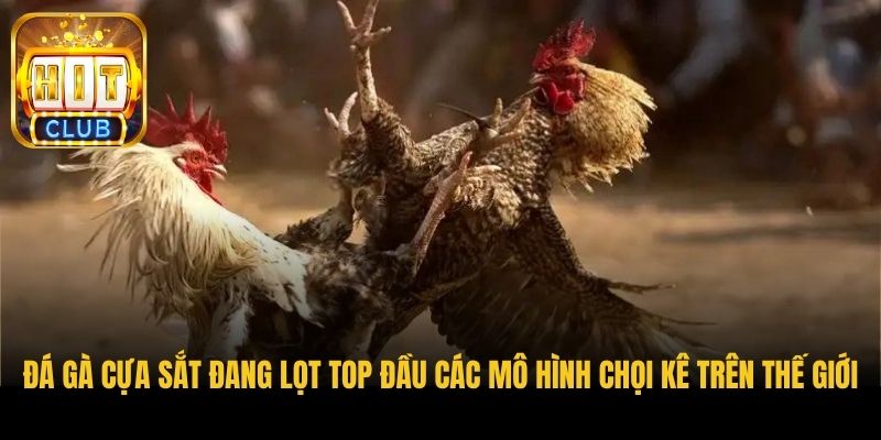 da ga cua sat dang lot top dau cac mo hinh choi ke tren the gioi