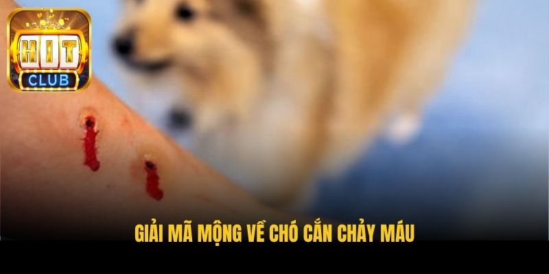 giai ma mong ve cho can chay mau