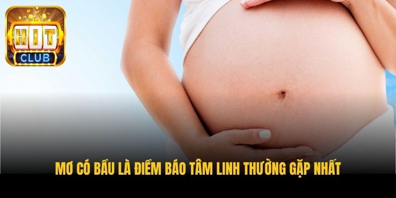 mo co bau la diem bao tam linh thuong gap nhat