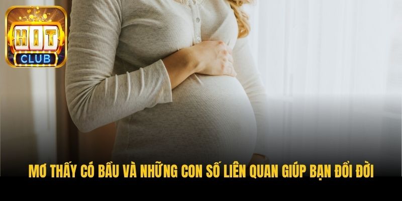 mo thay co bau va nhung con so lien quan giup ban doi doi