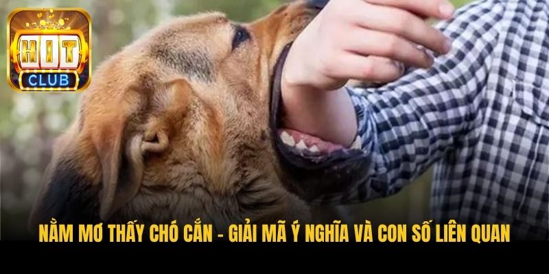 nam mo thay cho can giai ma y nghia va con so lien quan