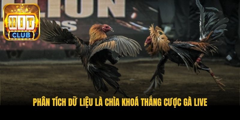 phan tich du lieu la chia khoa thang cuoc ga live