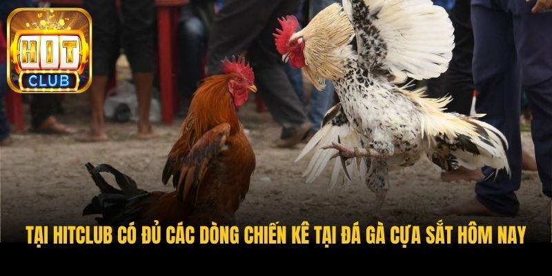 tai hitclub co du cac dong chien ke tai da ga cua sat hom nay