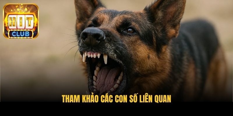 tham khao cac con so lien quan