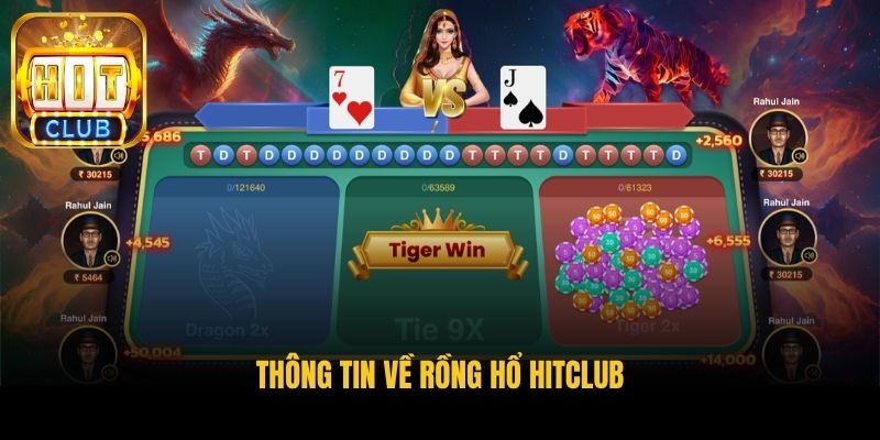thong tin ve rong ho hitclub