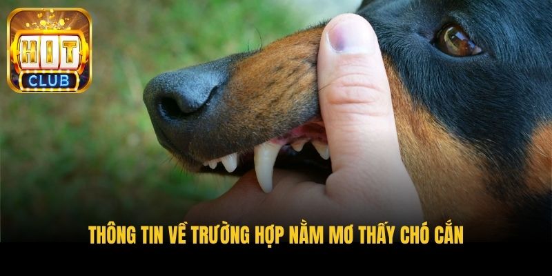 thong tin ve truong hop nam mo thay cho can